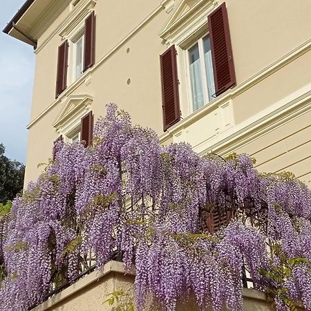 Il Pettirosso Apartment Monsummano Terme Exterior photo