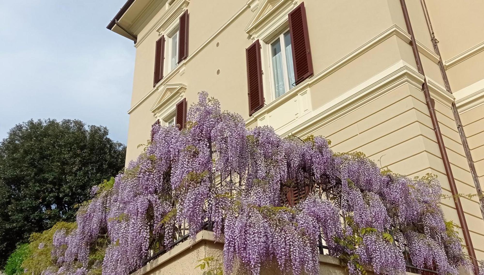 Il Pettirosso Apartment Monsummano Terme Exterior photo